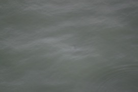 Missing Picture